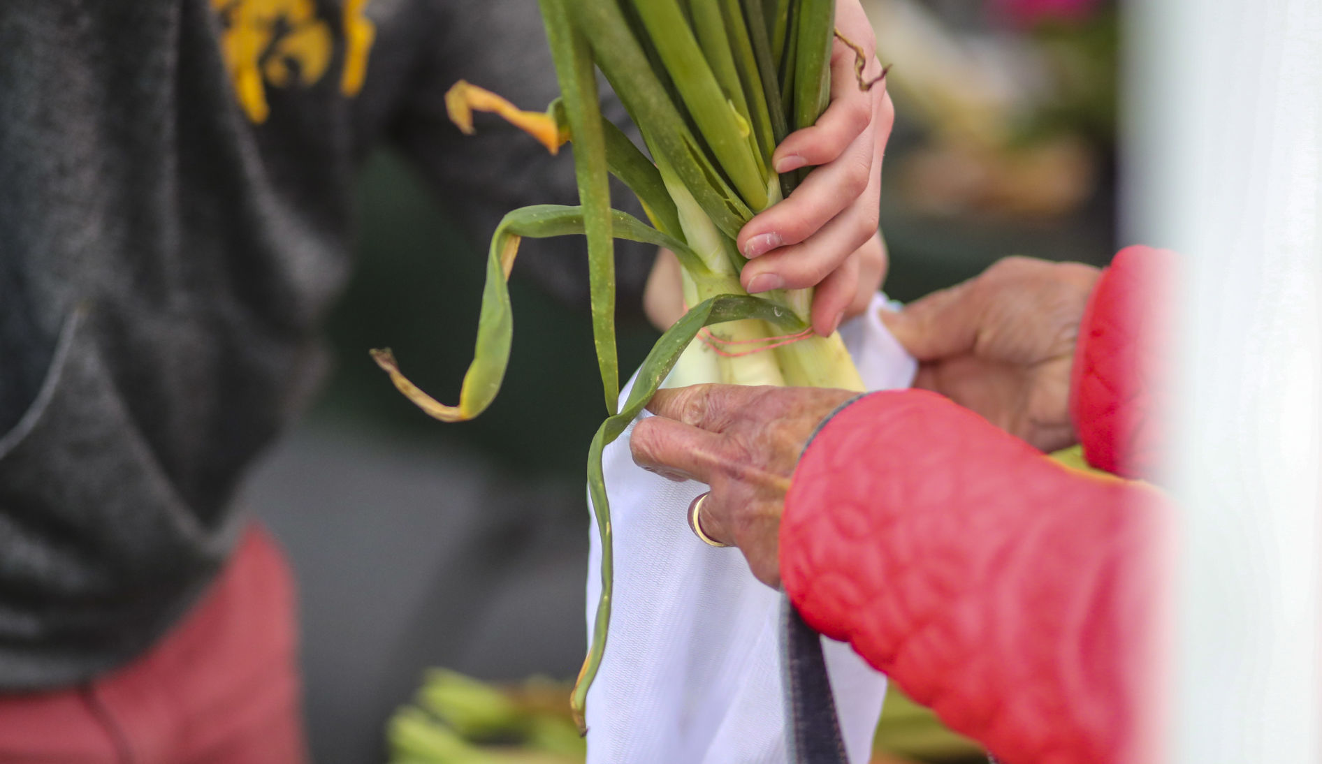 051119-qct-qca-farmers-market-008